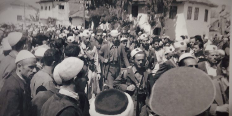 foto galeri 