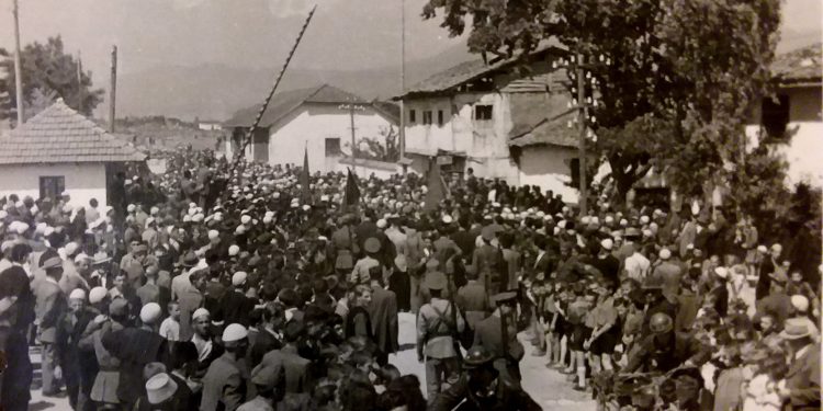 foto galeri 