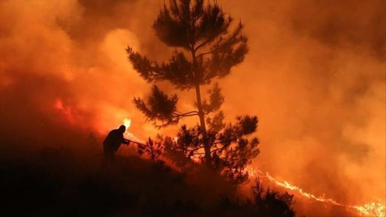 Thumbs B C 9ae114153c6607d3bbbbe7bfcb43a932