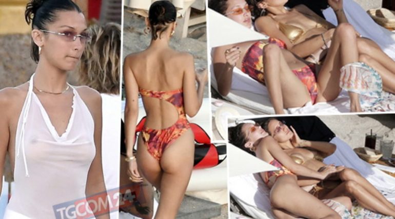 095049704 Fd393d12 C488 438e Be51 322d7d759de6