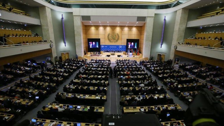 Thumbs B C Db922e5e86ecca87d27571874b4af187