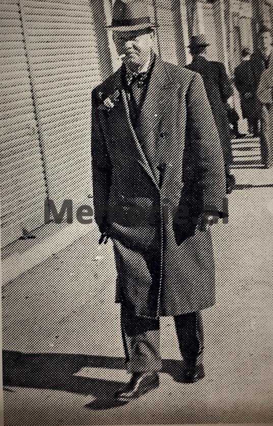 foto galeri 