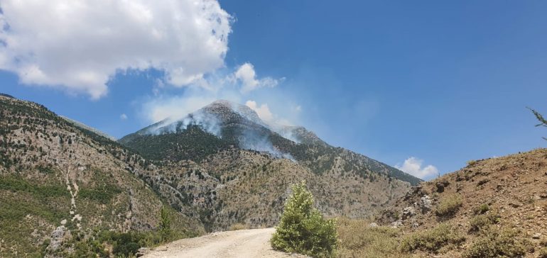 zjarr Gjirokaster