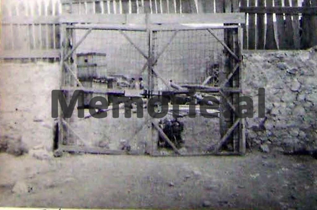 foto galeri