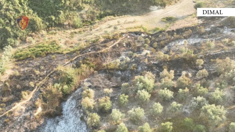 384739089 702854881879860 151882288542186289 N