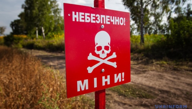 630 360 1695372905 597