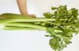 Celery Celery Aee28db4 Cbaf 4c57 99d7 7b11022158b8 1024x1024 1000x650