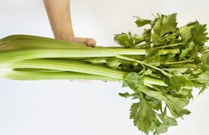 Celery Celery Aee28db4 Cbaf 4c57 99d7 7b11022158b8 1024x1024 1000x650