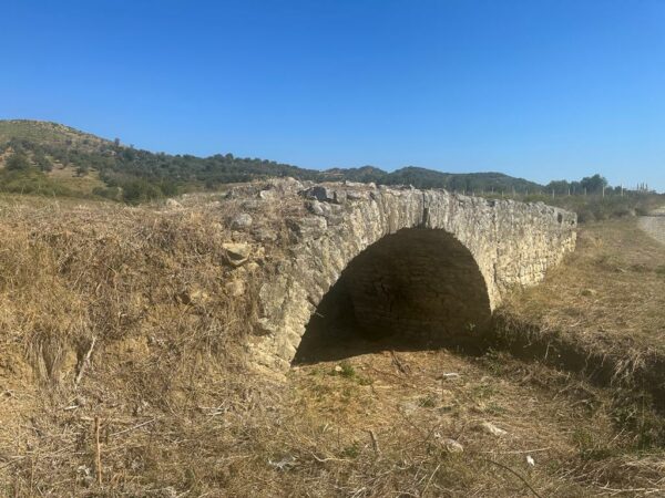 Whatsapp Image 2023 10 19 At 11.01.46