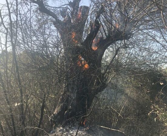 Fbb62cf1 73c1 400e A839 43db4aabc216