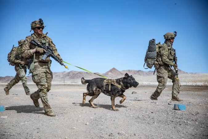 Whatsapp Image 2023 11 26 At 07.55.07