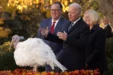 Live President Joe Biden Pardons Turkey At White House 102210a6a8864a749c89d050d08f08ce