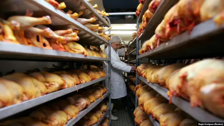 0980b7ff 7a55 4c71 A2de F01096694caa W1023 R1 S