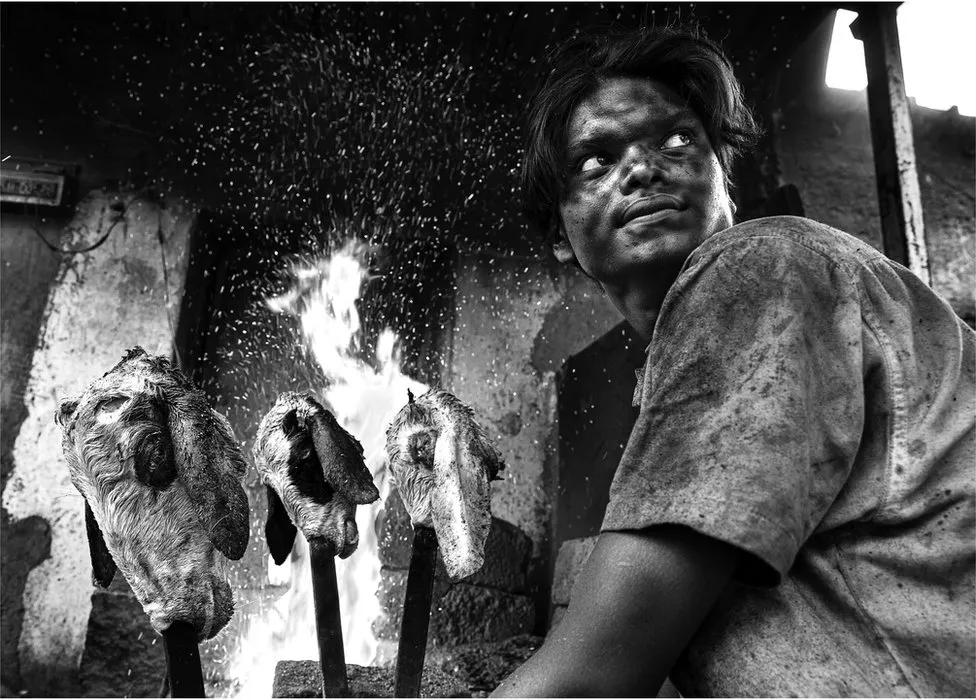  132037980 9c7a5552.jpg