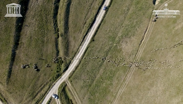 Screenshot 9 2 696x394