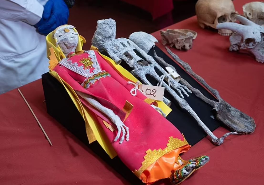 PHOTOS: They said they were alien corpses after they were discovered in October, the mystery of the mummified creatures is solved