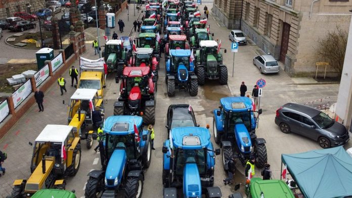 11396830 E1681303142228 696x392