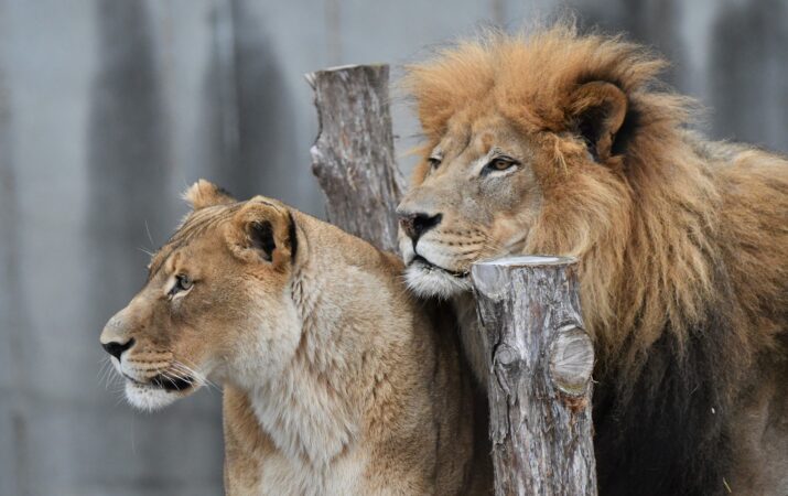 220279308 10158717918217917 5462625534723482994 N