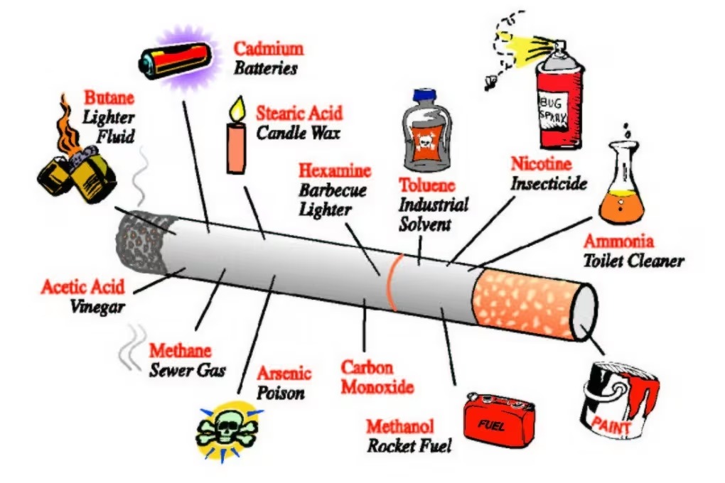 what is more harmful weed or cigarette Does smoking pot actually make you stupid?