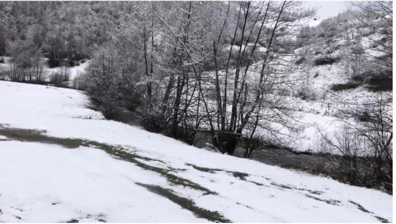 Reshjet e dëborës mbulojnë Parkun Kombëtar të Qafë Shtamës (FOTO) – Balkanweb.com – News24