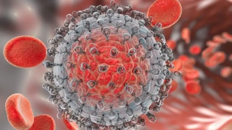 OBSH  Virusi i hepatitit vret më shumë se 3 500 njerëz në ditë