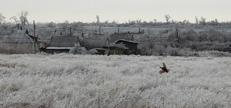 806x378 Russia Claims It Took Control Of Another Village In Ukraines Donetsk Region 1716469857580