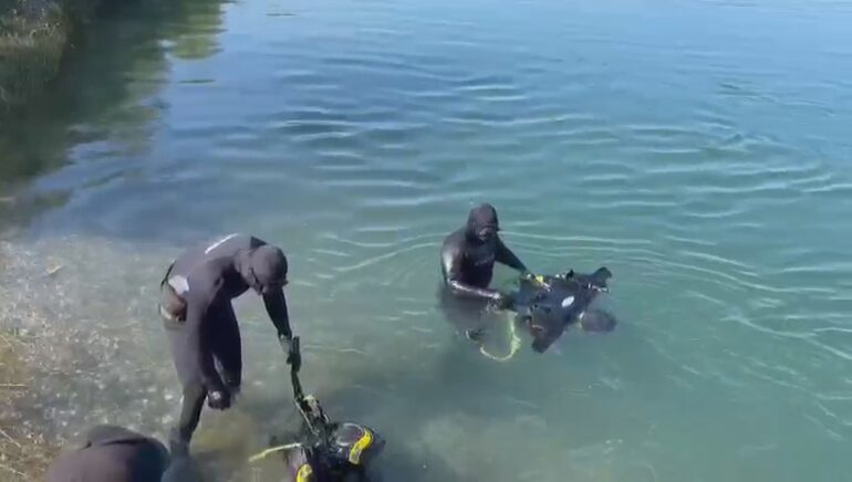 Vijojne Kerkimet Per Gjentjen E Trupave Ne Bune
