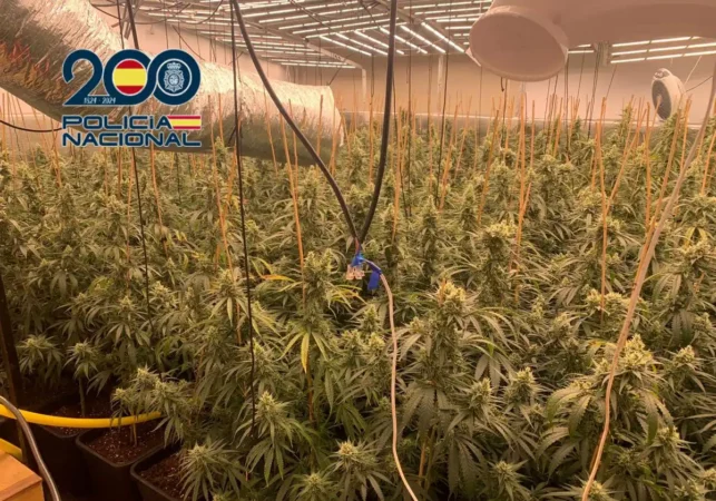 2 Kp0 U220351537930o0d 1200x840@las Provincias