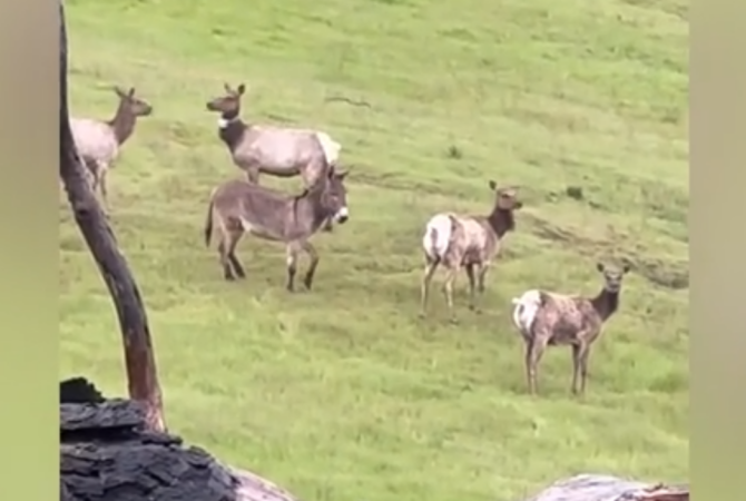 Screenshot 2024 06 22 154820