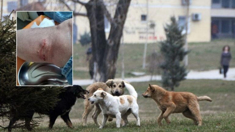 Qente Endacak E1705764068581 780x439