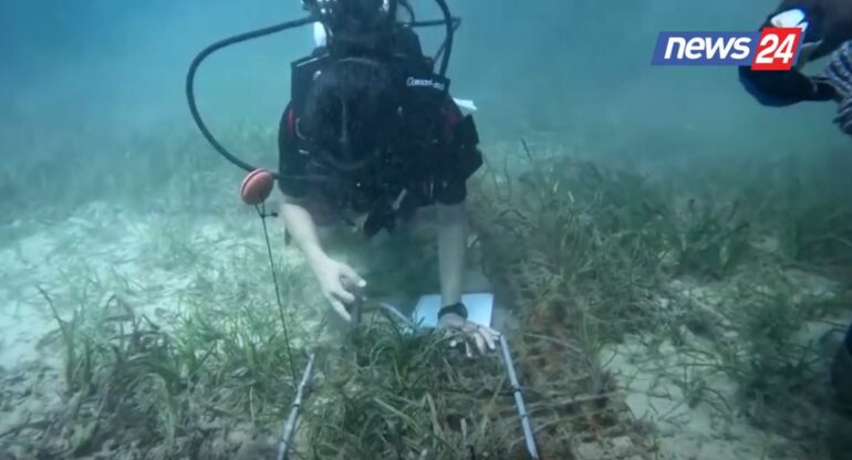 Mushkeria E Mesdheut