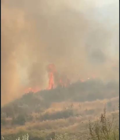 Zjarri në Finiq hyn në territorin e Bashkisë Delvinë, rrezikohen ullinjtë në Stjar