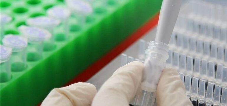 806x378 Who Warns Of Worsening Health Crisis In Ukraine As Winter Approaches 1726173214678