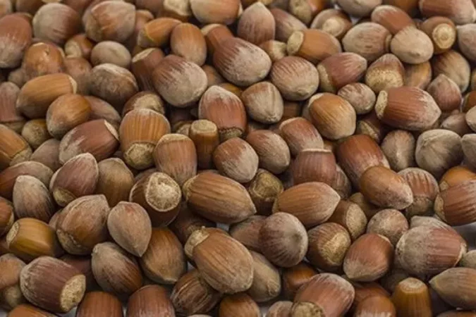 3ad5eb9a993634a4d9d57f897b2e251d