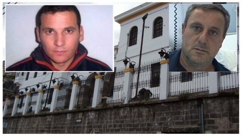 900 0 1699608529xrexhepi Prenga 606