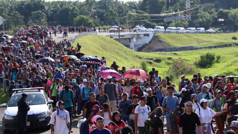 Mexico Metanastes (1)