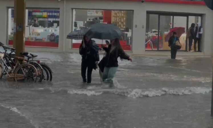 Reshjet E Shiut Gocat