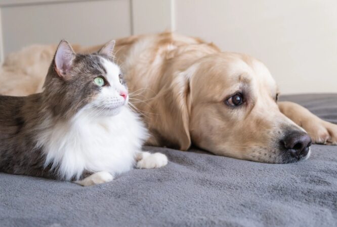 Whatsapp Image 2025 02 19 At 01.32.22