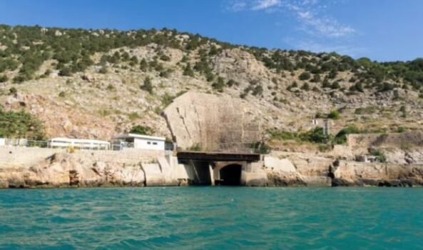 0 450 1740931127xtghtghjpg 607