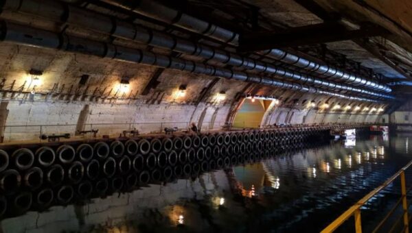 0 450 1740931128xgnhynjpg 172