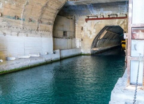 0 450 1740931131xfrgrgtrfjpg 513