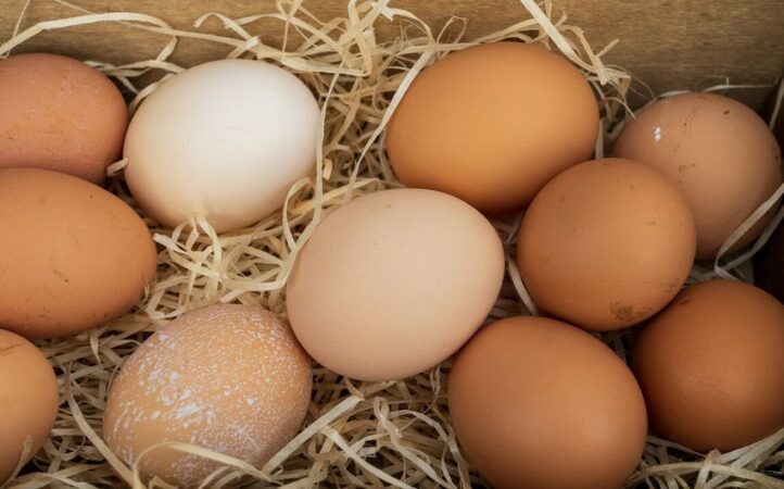 50b53add B7dd 3588 A0d5 Fcabf08a2f84 850