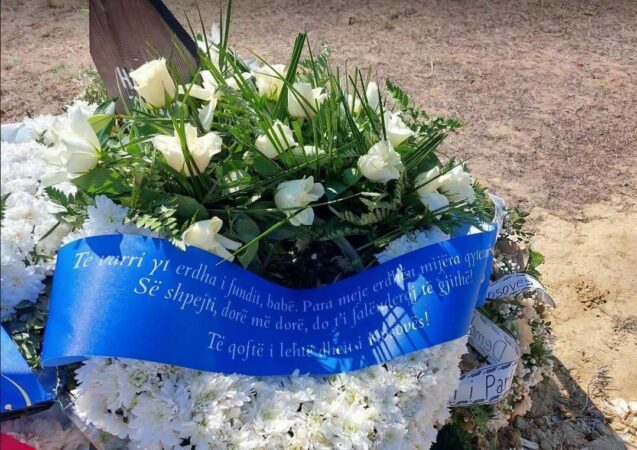 85b315e2 Fa1e 4f28 Be1a Df0738d32411