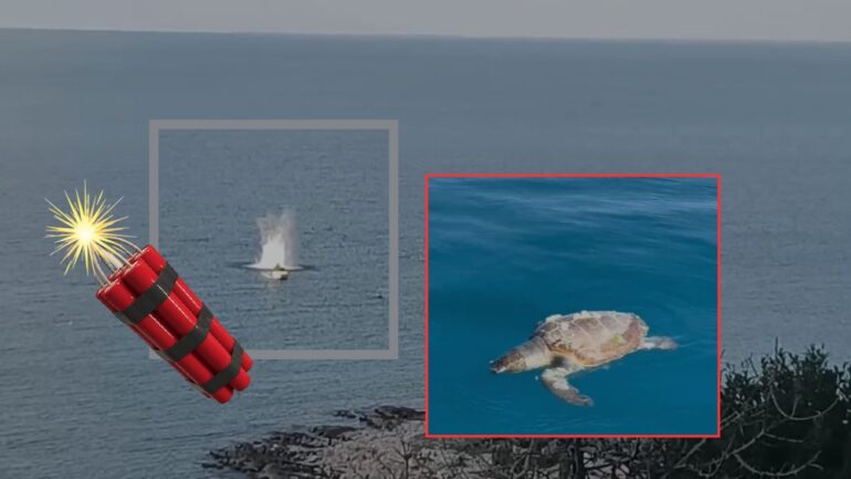 Whatsapp Image 2025 03 11 At 20.07.24