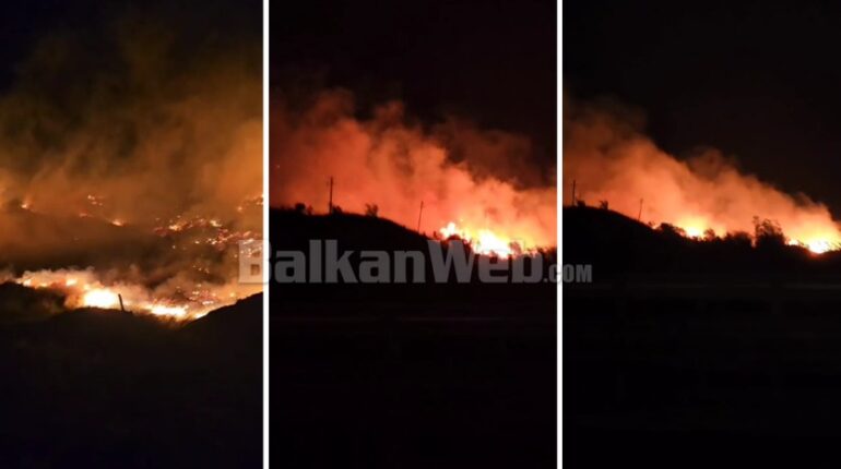 B5c36734 3a74 4717 Ba6a 3331cda35384