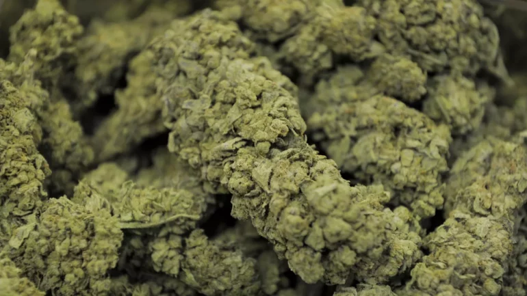 Ccf4e03b C010 11e8 Abcc 02b7b76bf47f