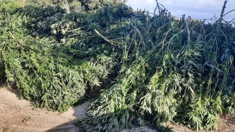 Fa779b2a 012f 427d A30f 473ef76c3b81