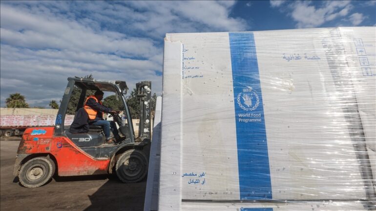 Thumbs B C 1496703684064991a8f9da2ba101876b