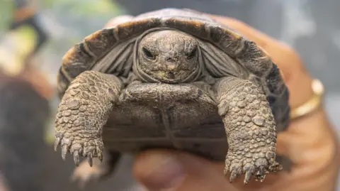 77eb2060 12f9 11f0 Baa6 Cf6d1e060075.png