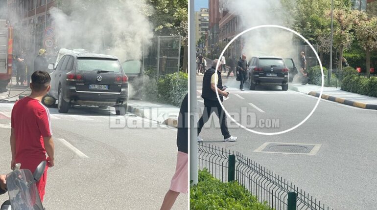 7c8609e5 4b3d 4e65 A184 A440c1d12295